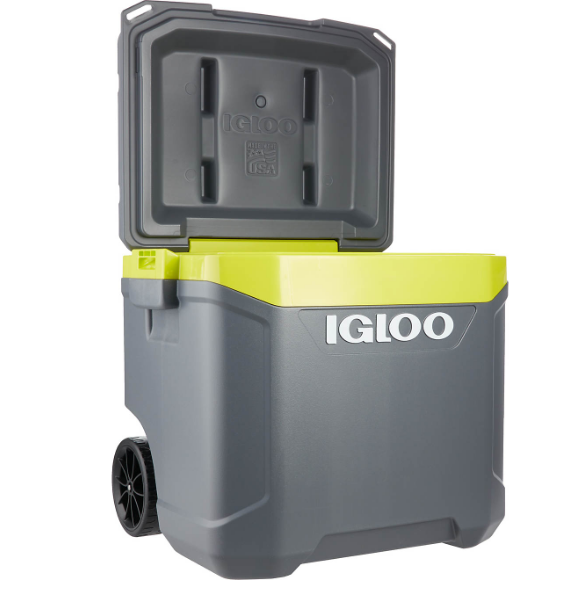 igloo maxcold latitude 62 qt